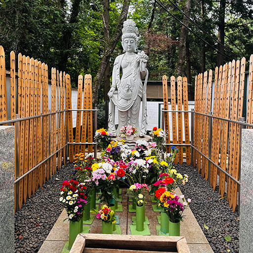 共同墓地の画像